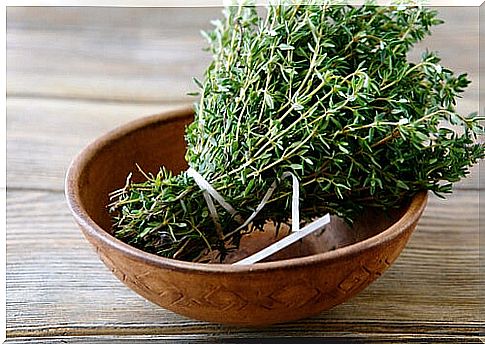 The-antiparasitic-properties-of thyme