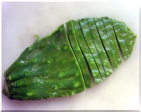 Nopal