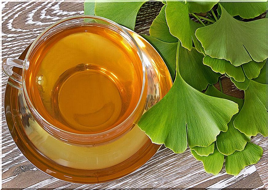 Ginkgo biloba tea cup.