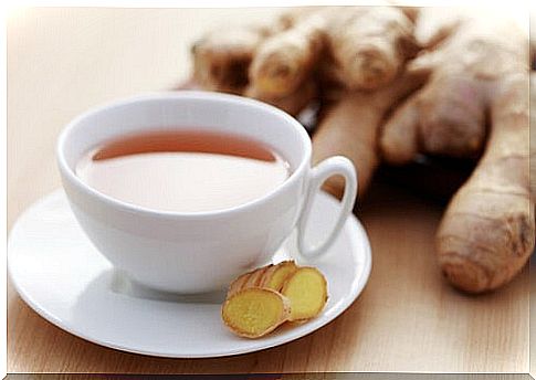 ginger-has-a-high-digestive-power