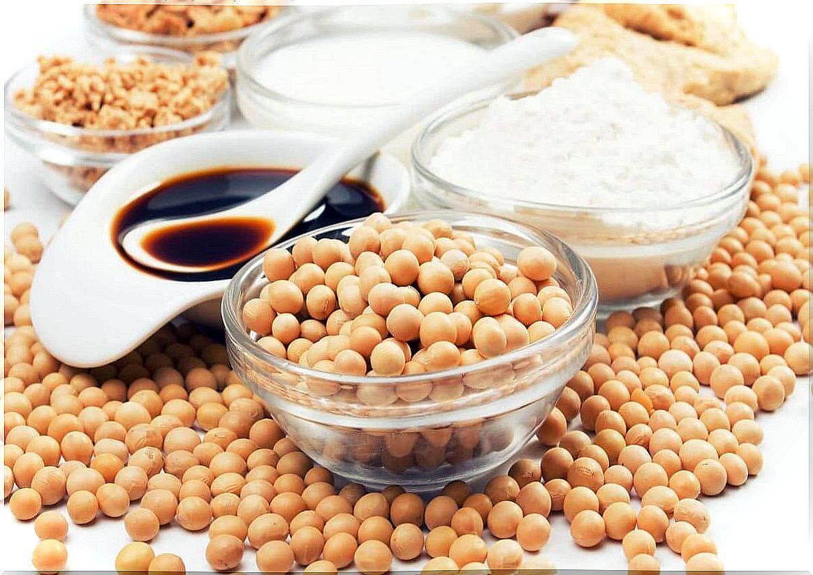 Soy and its derivatives