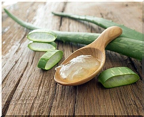 Prepare aloe vera for constipation, plant gel