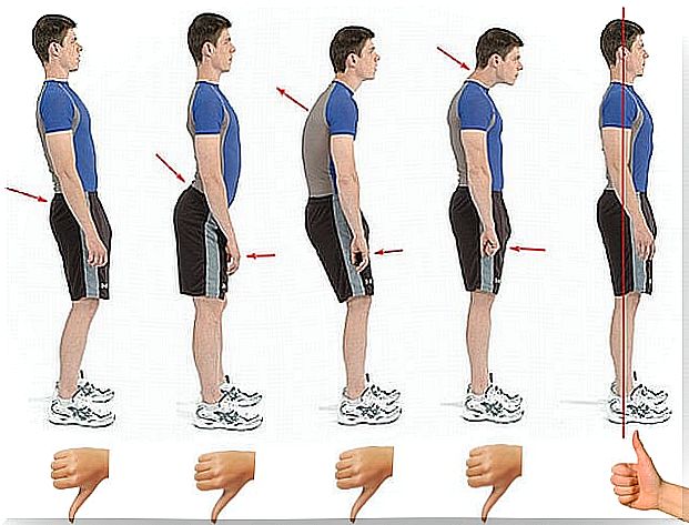 6 techniques to maintain the posture of the spine