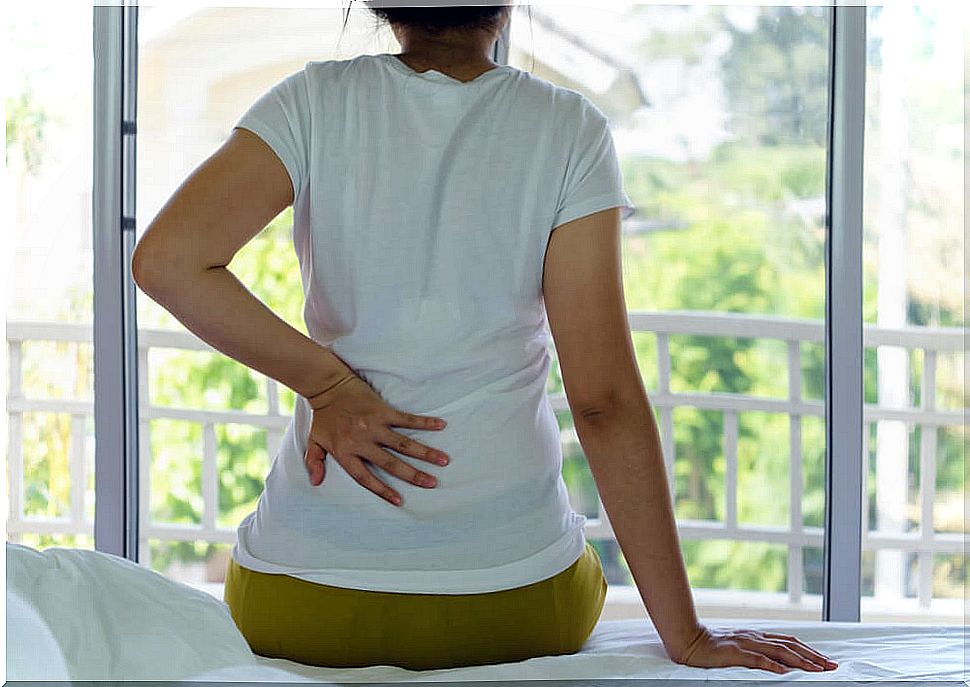 7 natural treatments to alleviate kidney pain