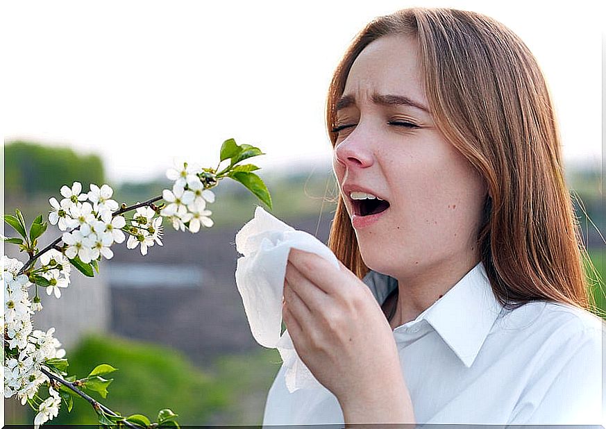 Fight pollen allergy 8 tips