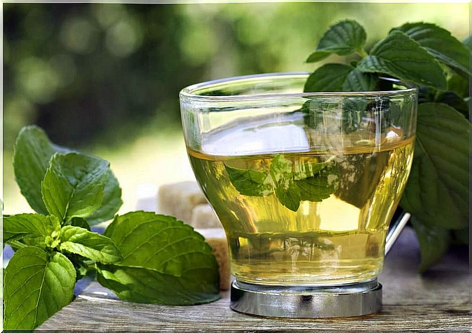 Green tea has many beneficial properties for our body