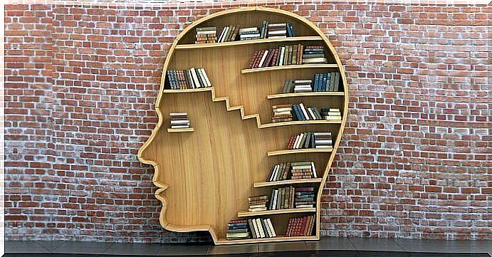 Books and brain