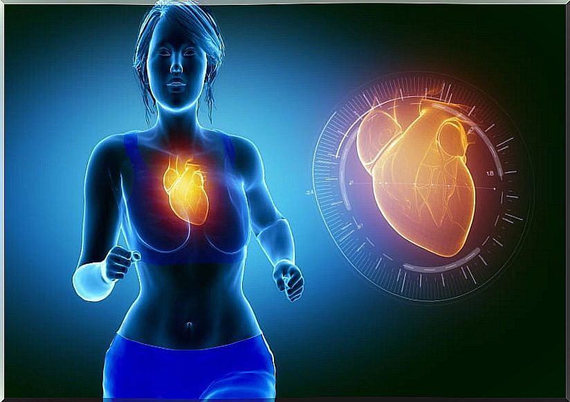 fish oil for the cardiovascular system