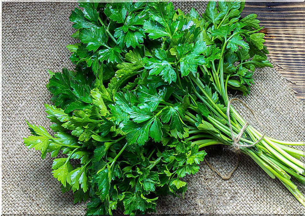 Parsley can be an ingredient to make healthy juices.