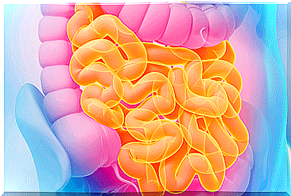 Pathogenesis of Hirschsprung's disease