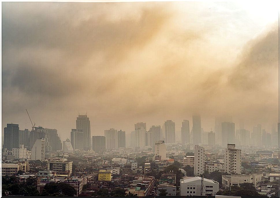 City landscape with great environmental pollution