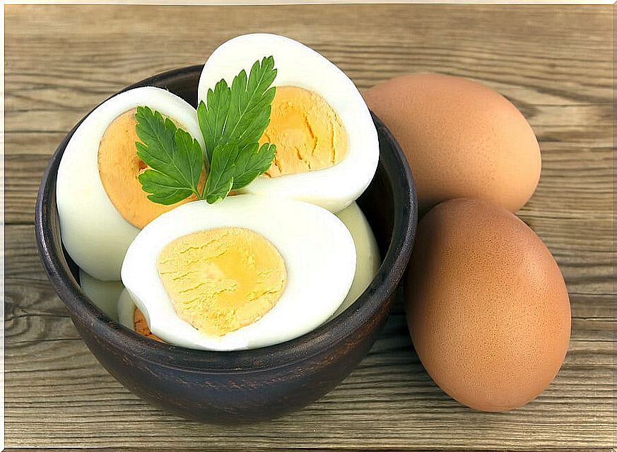 Nutritional properties of the egg