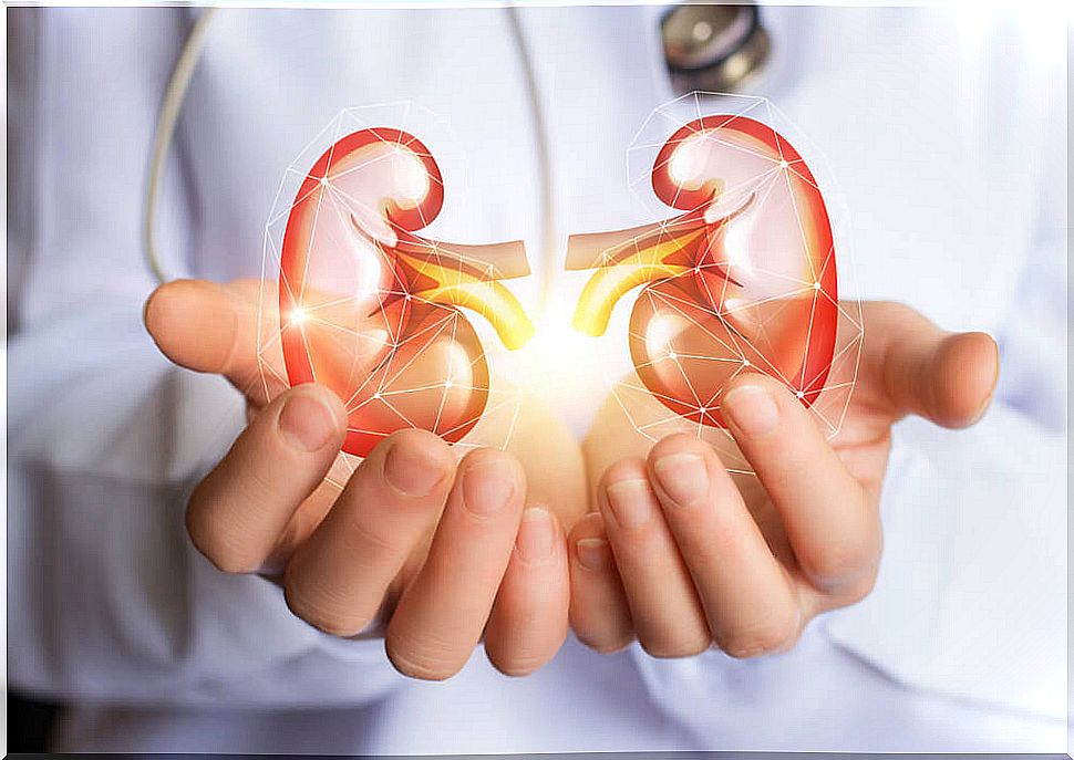 Incredible cleansing diet to cleanse the kidneys