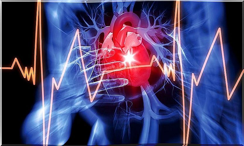 Representation of the heart with cardiogram