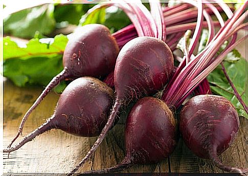 Beet