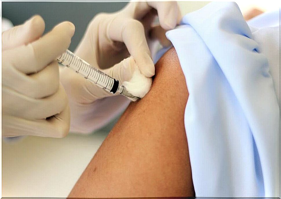 Yellow fever vaccine.